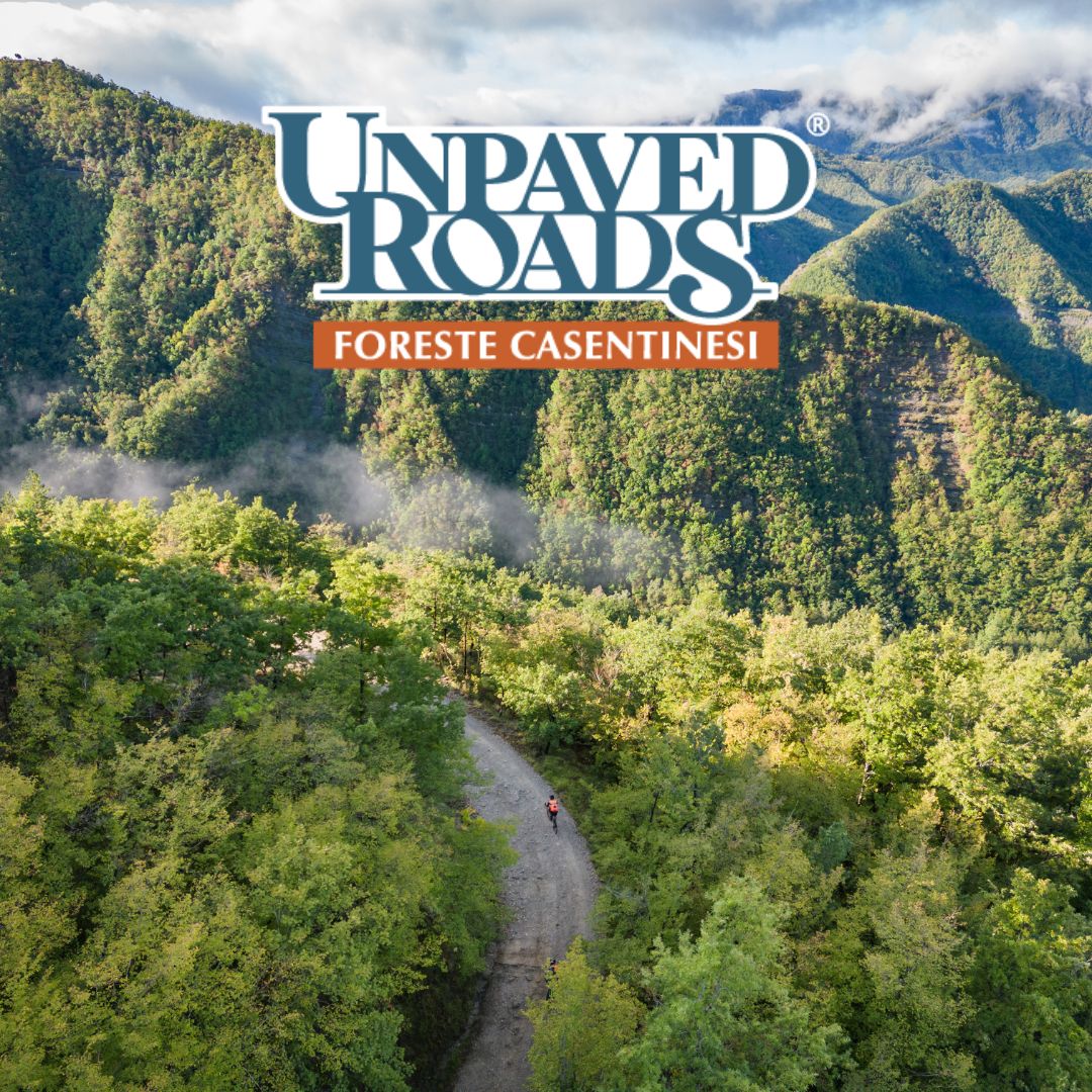 Unpaved Roads <br>Foreste Casentinesi