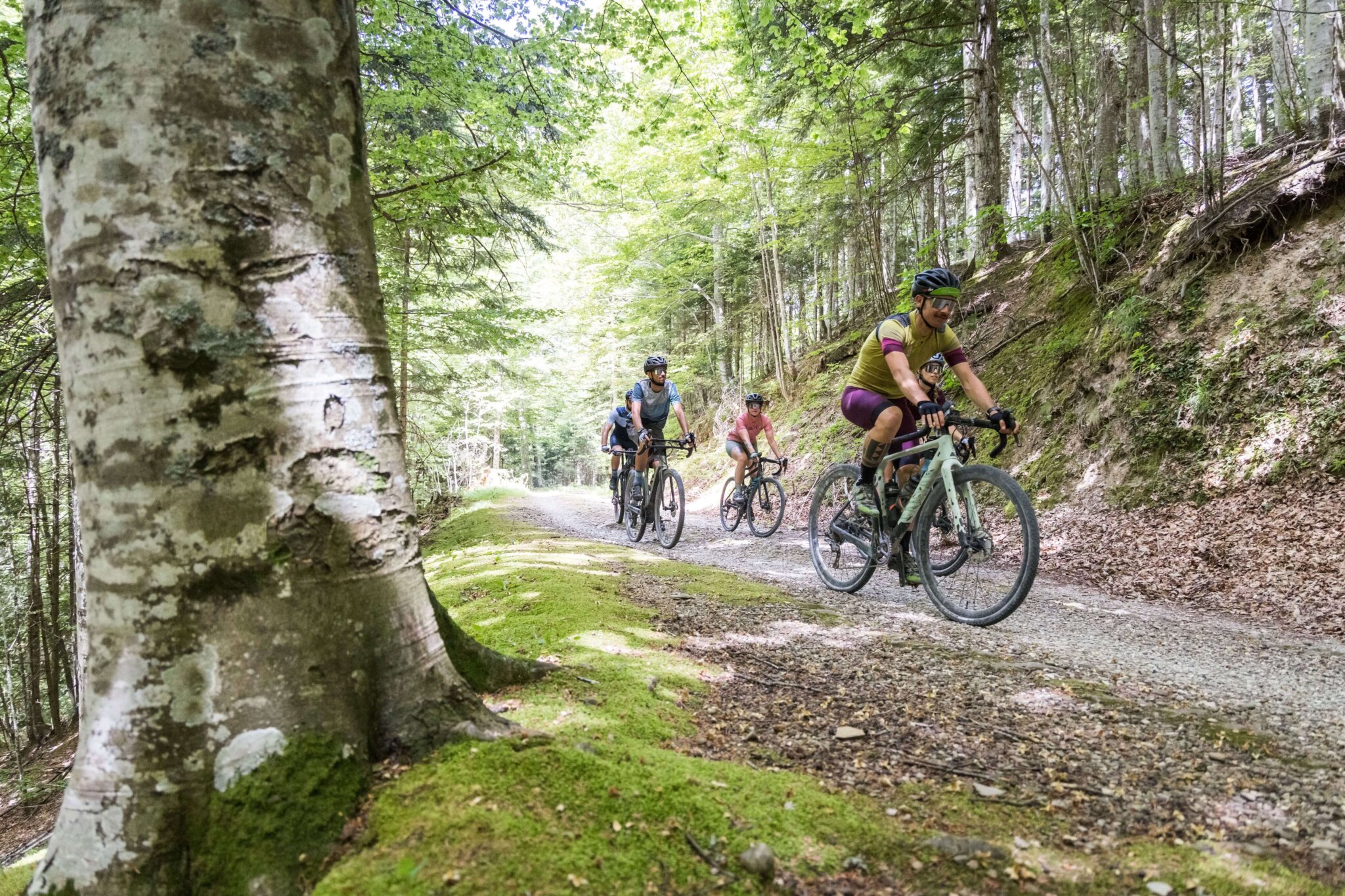 Gravel-ride-tra-i-boschi-del-Parco-Nazionale-delle-Foreste-Casentinesi-2048x1365-1.jpg