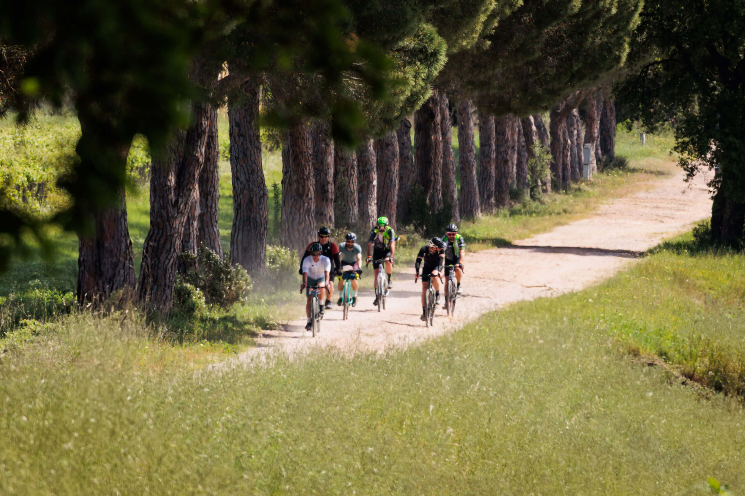 Gruppo di ciclisti su percorso gravel lungo un viale di pini marittimi durante l’evento Unpaved Roads a Punta Ala in Toscana