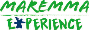 Logo Maremma Experience con testo verde e stella blu stilizzata.
