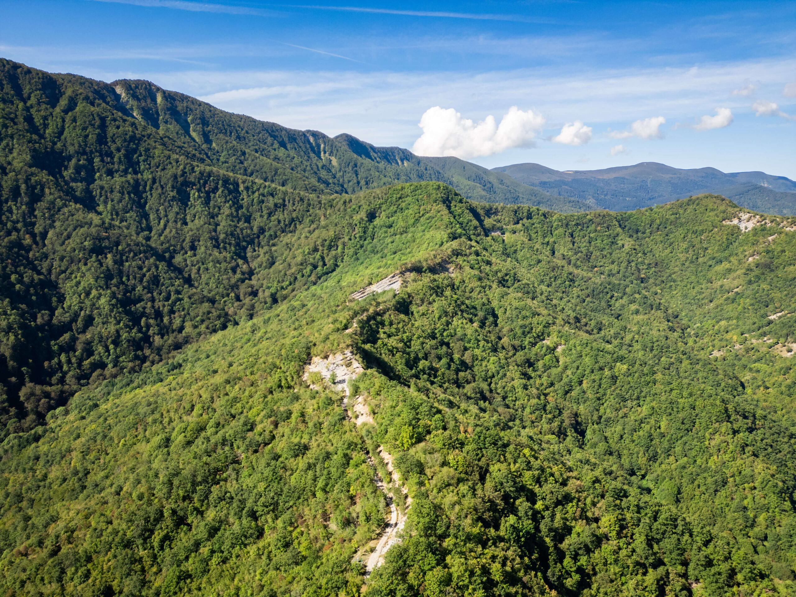 Vista aerea panoramica delle montagne e dei boschi del Parco Nazionale delle Foreste Casentinesi.