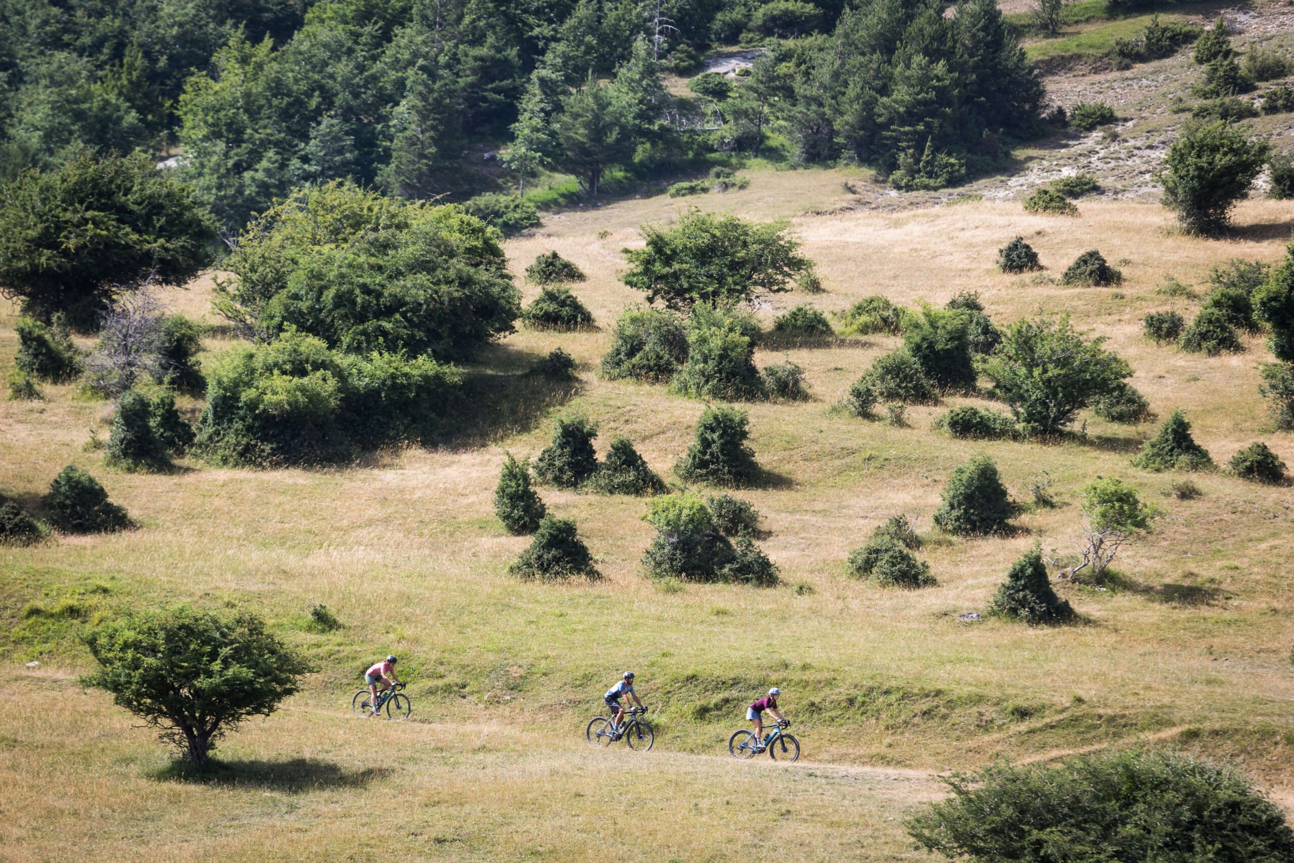 Ciclisti gravel pedalano su un sentiero tra prati e boschi delle Foreste Casentinesi durante Unpaved Roads.